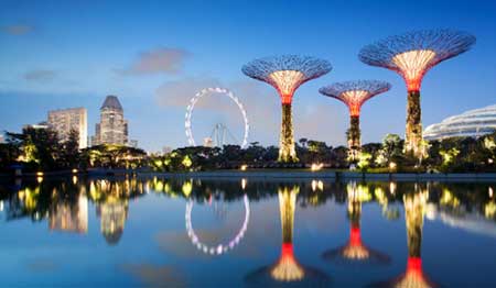 Một góc vườn Bay South Garden thuộc dự án Gardens by the Bay.
